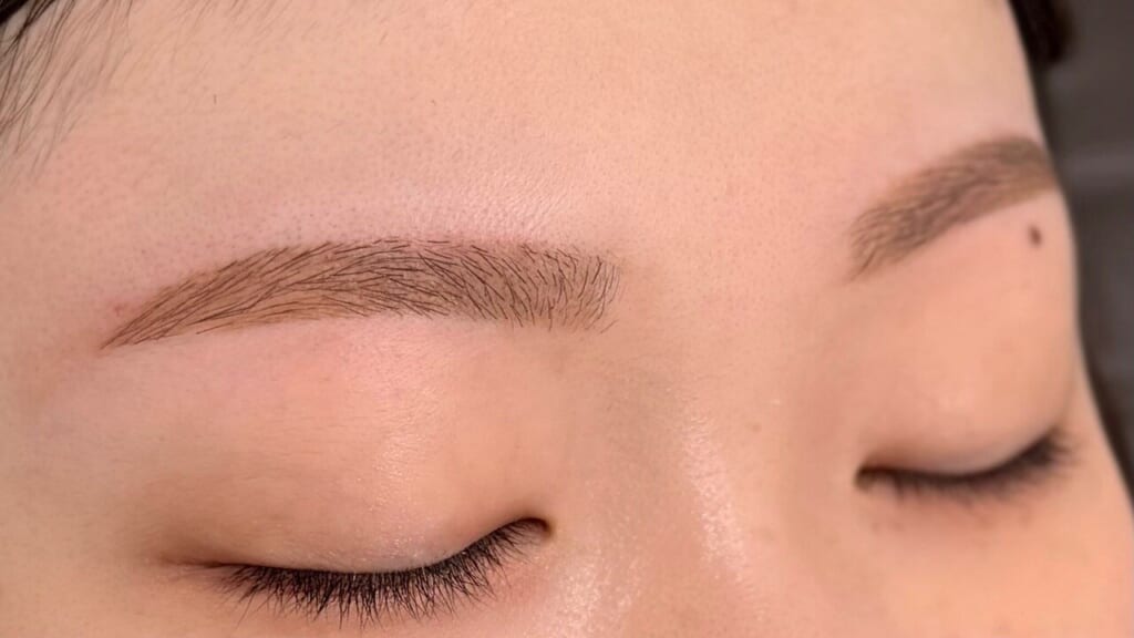 目を閉じた目元の写真。眉山に丸みをつけて整えたアーチ眉