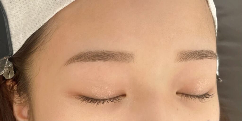 目を閉じた目元の写真。毛を長めに残して整えた眉