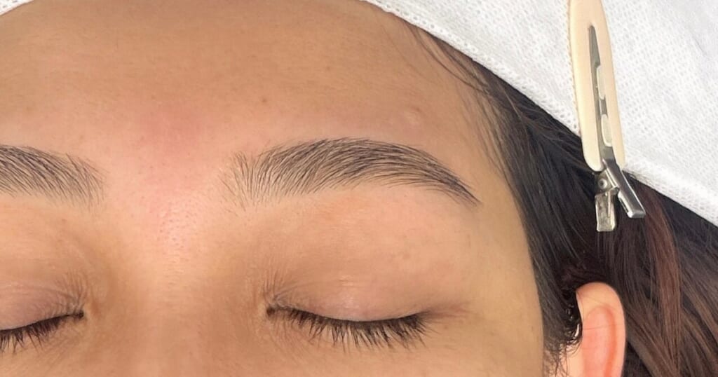 目を閉じた目元の写真。眉頭から眉尻まで形を整えた眉